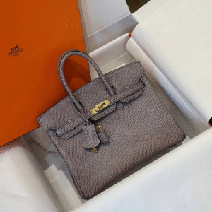 Hermes Birkin 25 Tris Fonce Genuine Lizard Leather Gold Hardware