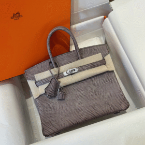 Hermes Birkin 25 Tris Fonce Genuine Lizard Leather Palladium Hardware