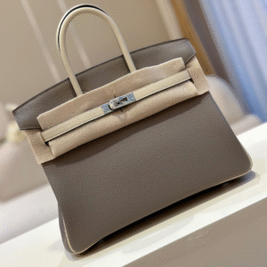 Hermes Birkin 25 Gray/Beige Customize Palladium Hardware