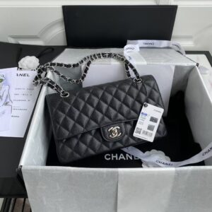 Chanel Classic Handbag Black With Silver Lock 25cm