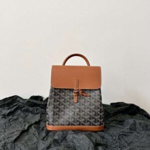 Balo Goyard Mini Mau Nau Tay Sieu Cap Hoa Tiet Size 23x19cm 5 600x800 1.jpg