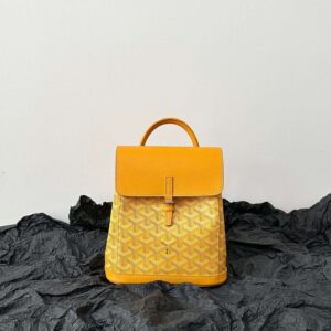 Balo Goyard Mini Mau Vang Sieu Cap Hoa Tiet 23x19cm 9.jpg