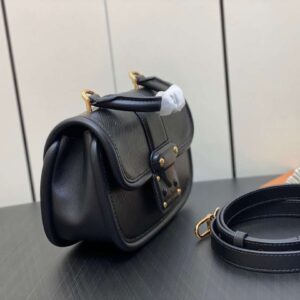 Tui Sieu Cap Louis Vuitton Hide and Seek Bag Nu Mau Den 21x15x8cm 2.jpg