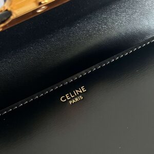 Tui Xach Celine Mini Bag Mau Den Sieu Cap Da Min 19cm 6.jpg