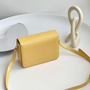 Tui Xach Celine Mini Bag Mau Vang Cam Sieu Cap Da Min 19cm 7.jpg