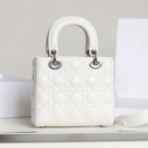 Tui Xach Dior My Lady Rep 11 Cao Cap Nu Mau Trang Khoa Bac 20x16 9.jpg