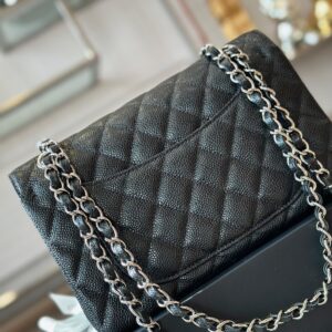 Tui Xach Hang Hieu Chanel Classic Nu Mau Den Khoa Bac 23cm 5 3.jpg