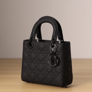 Tui Xach Hang Hieu Dior Lady Matte Nu Mau Den 20cm 4.jpg