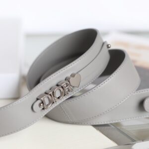 Tui Xach Nu Dior My Lady Rep 11 Cao Cap Mau Xam Da Bong 20x16cm 2.jpg