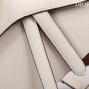 Tui Xach Nu Hang Hieu Dior Saddle Yen Ngua Mau Trang 1.jpg