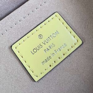 Tui Xach Nu Louis Vuitton LV Clunny Rep 11 Cao Cap Mau Vang 20x16cm 2.jpg