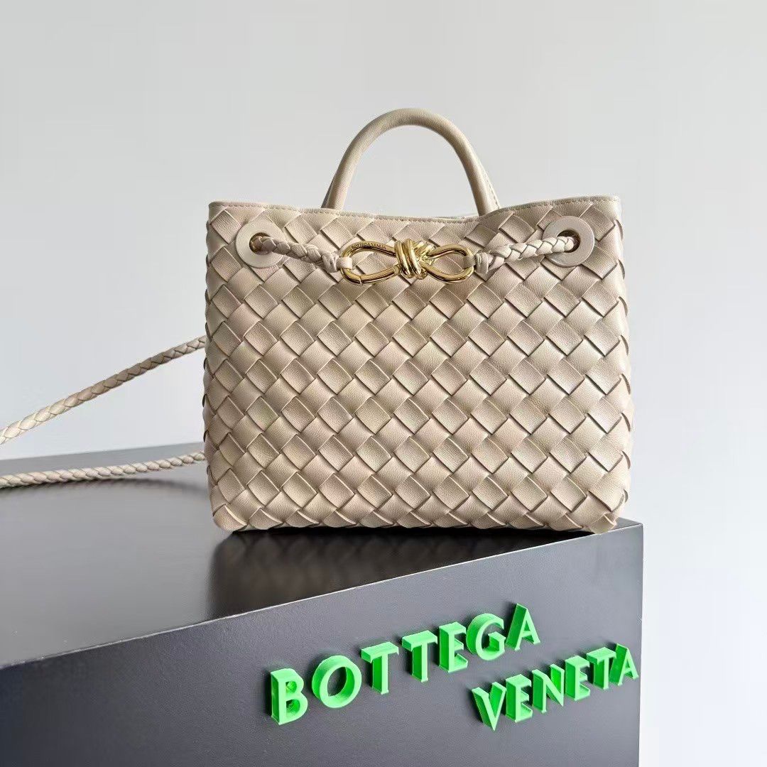 Bottega Veneta Small Andiamo top handle bag i