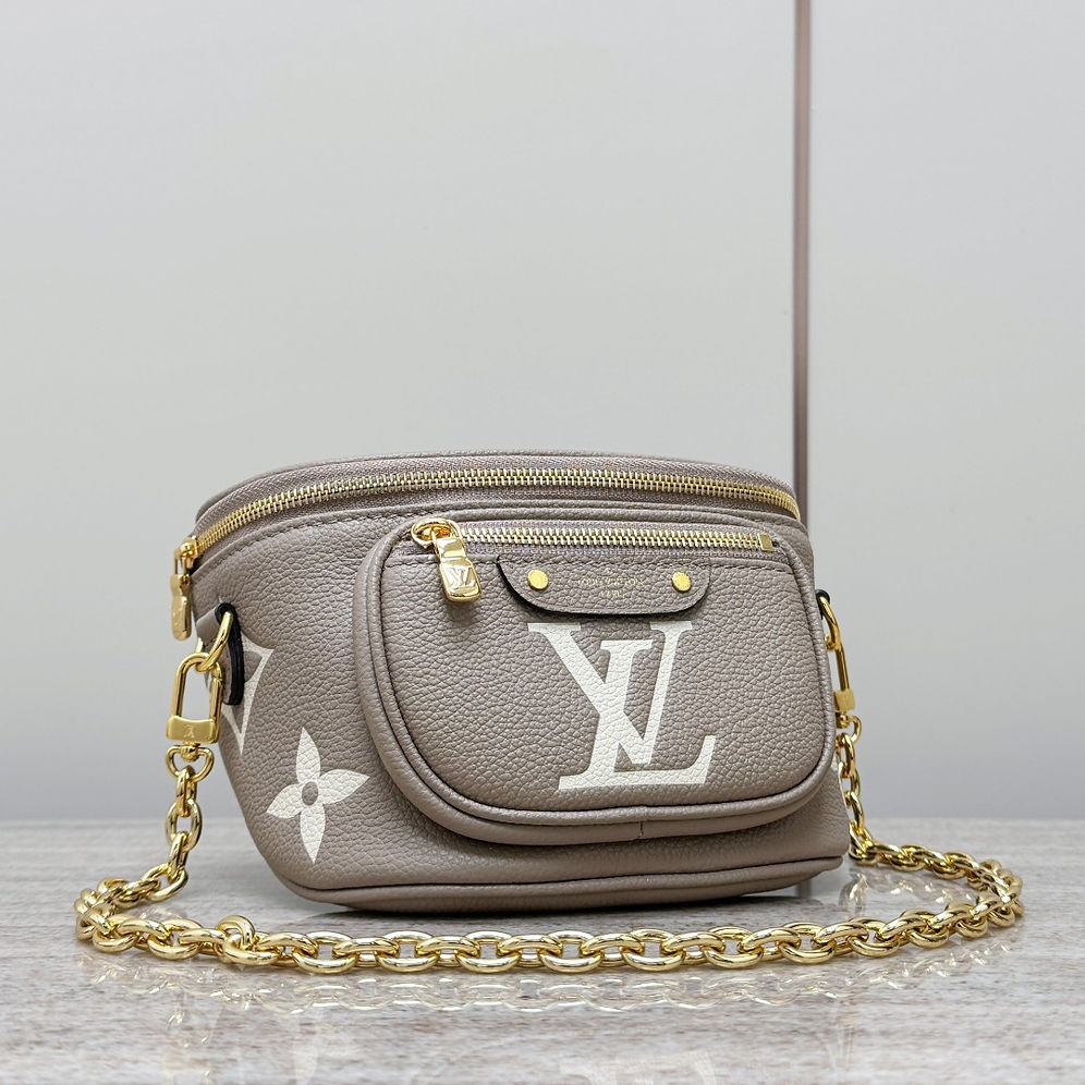 LV mini bumbag bag